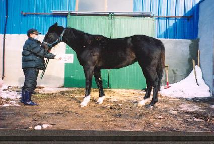 �ν�Ʈ���� ����