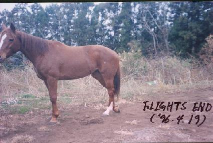 �ö��������� ����