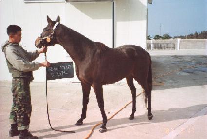 Ų������ ����