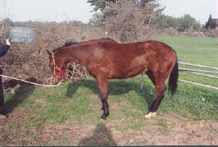 �������� ����