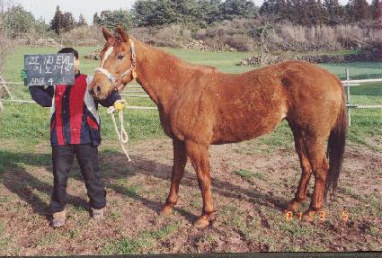 �����̺� ����