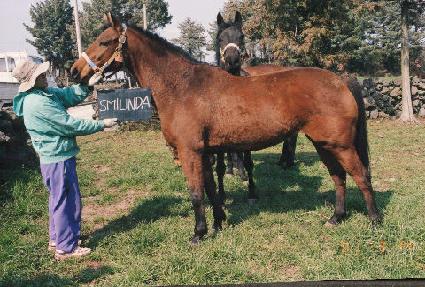 ���и��� ����