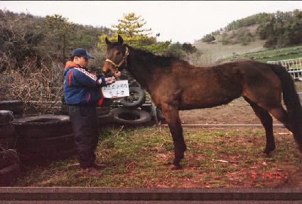 �����ν� ����