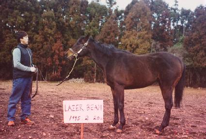 �������� ����