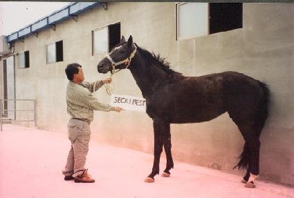 ��ũ������Ʈ ����