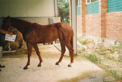 ��Ƽ�÷��̾� ����