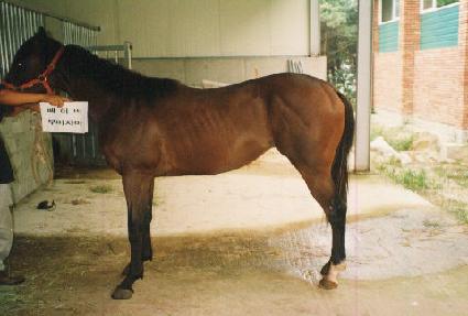 �������� ����