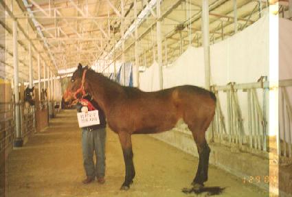 ���� ����