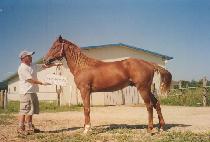 ȭõõȭ (HWACHEON CHEONHWA) ����