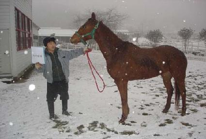 ��Ÿź�� ����