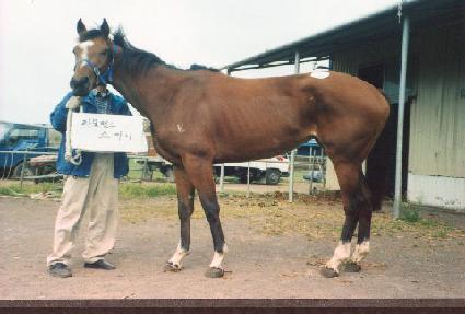 �ͺ深Ʈ��ī�� ����