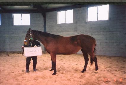 �׷������Ͼ� ����