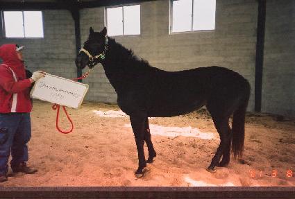 ���̴��Ӵ� ����