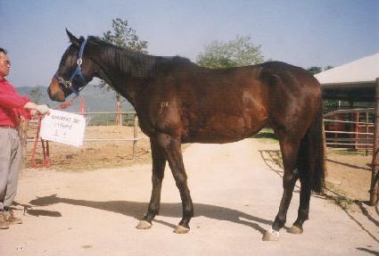 ���纣���� ����