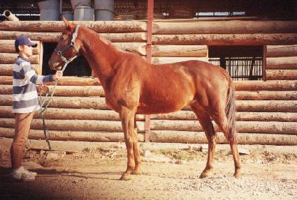 ��ǻ���� ����