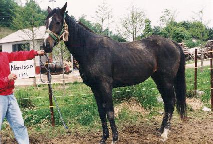 �����ü��� ����