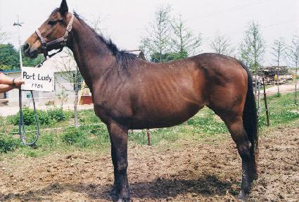 ��Ʈ���̵� ����