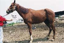 ���ӽ� (SUMMER SCENE) ����