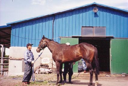 ���ָ��� ����