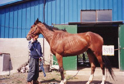 ����ũ���� ����