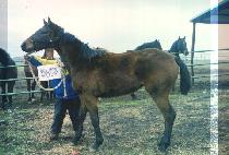 ȭ���Ѱ��� (HWARYEOHAN GANGJA) ����