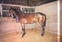 �����õ (BIRYONGJECHEON) ����