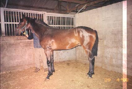 �����õ ����