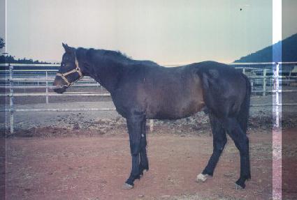 ���ַ��� ����