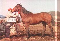 ������ (SEOBONGSAN) ����