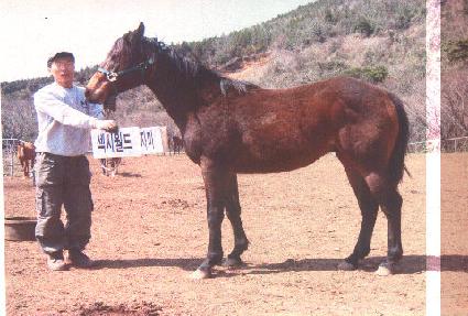 �ݺ�� ����