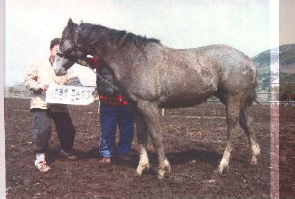 ���ֽǹ� ����