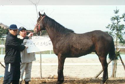 �������� ����