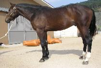 ���ӱ� (GWANGSOKGU) ����