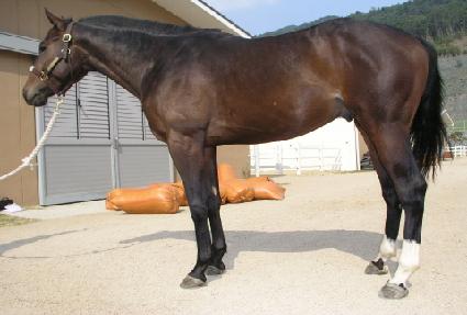 ���ӱ� ����