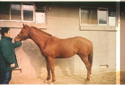 ũ���δ��� ����