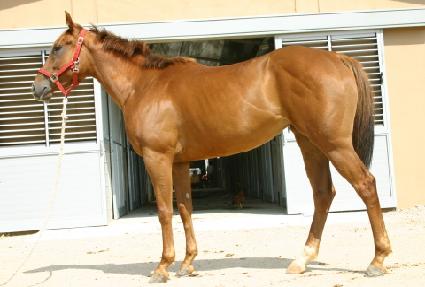 ������ ����