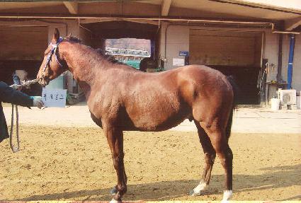 ǻó���� ����