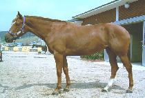 ������ (EUNBI SARANG) ����