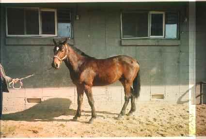 ��󺸴��� ����