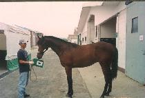 ������ (SUNSHINE) ����