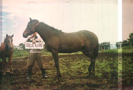 ���ο���� ����