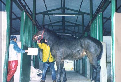 �������� ����