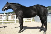 ����Ż�� (GWANGYA TALCHUL) ����