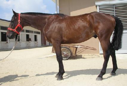 ������ ����