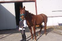 ������ڸ� ����