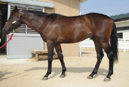 ��۶� ����