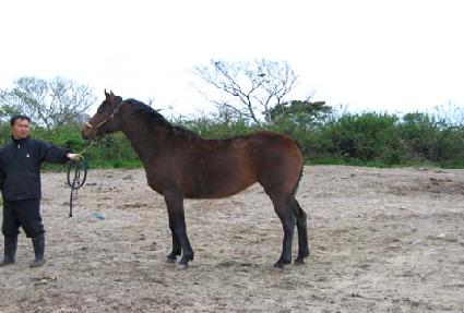 �ָ� ����