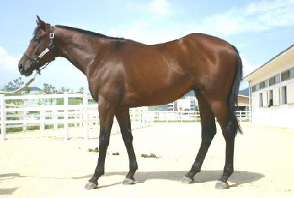 ����Ǯ���� ����