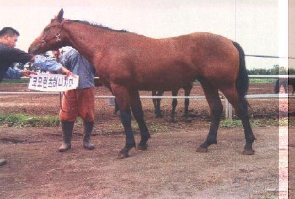 ����� ����