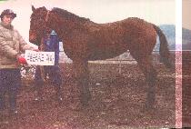 ���ο�� (SAEROUN DOYAK) ����